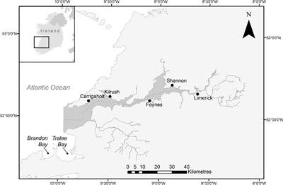 Survival Rates and Capture Heterogeneity of Bottlenose Dolphins (Tursiops truncatus) in the Shannon Estuary, Ireland